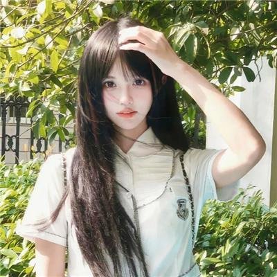 荔枝树下热烈岛